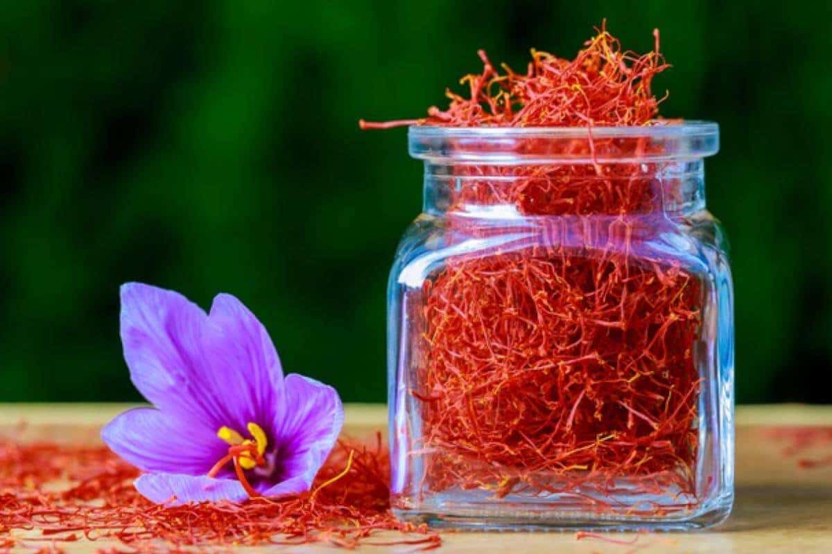 Saffron Cost